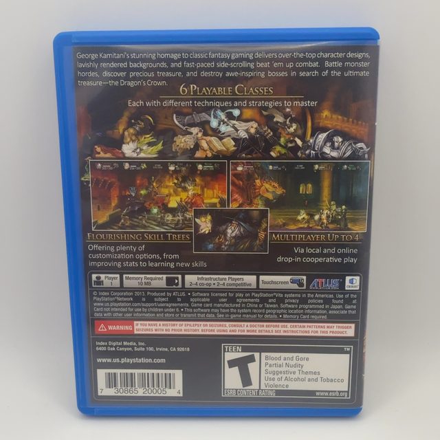 PSVita - Dragon's Crown (photo 2)