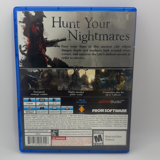 PS4 - Bloodborne (photo 2)